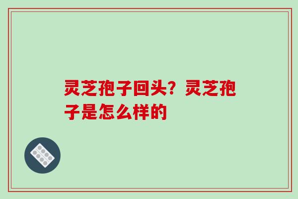 灵芝孢子回头？灵芝孢子是怎么样的