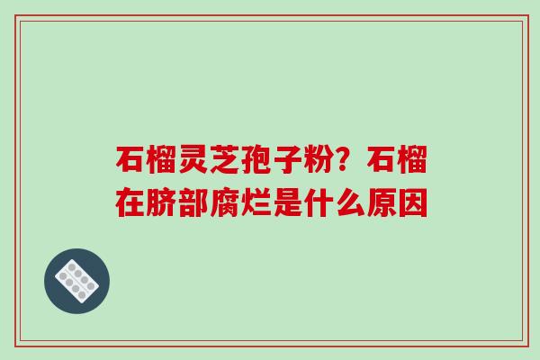 石榴灵芝孢子粉？石榴在脐部腐烂是什么原因