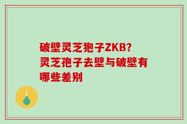 破壁灵芝狍子ZKB？灵芝孢子去壁与破壁有哪些差别