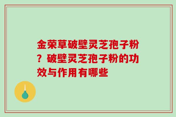 金荣草破壁灵芝孢子粉？破壁灵芝孢子粉的功效与作用有哪些