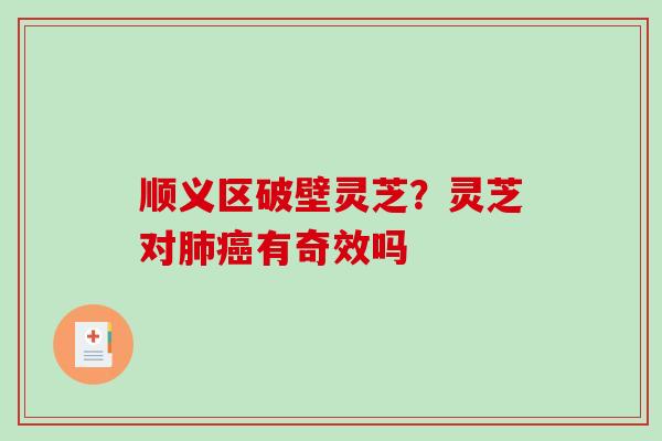 顺义区破壁灵芝?灵芝对有奇效吗 顺义区破壁灵芝?灵芝对有奇效吗