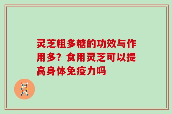 灵芝粗多糖的功效与作用多？食用灵芝可以提高身体免疫力吗