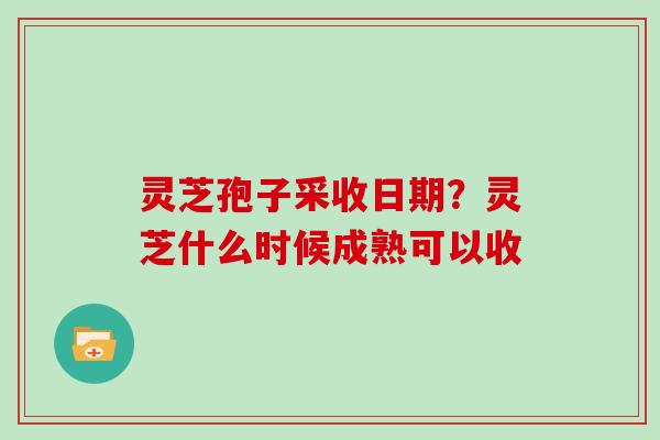 灵芝孢子采收日期?灵芝什么时候成熟可以收 灵芝孢子采收日期?灵芝什么时候成熟可以收