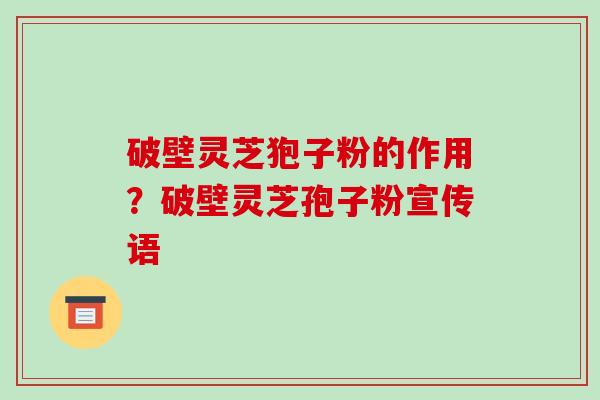 破壁灵芝狍子粉的作用?破壁灵芝孢子粉宣传语 破壁灵芝狍子粉的作用?破壁灵芝孢子粉宣传语