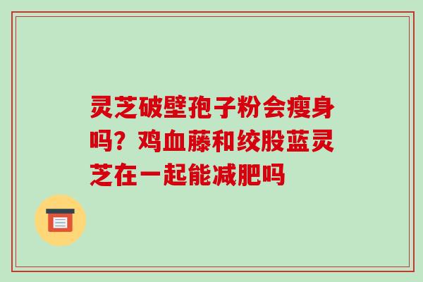 灵芝破壁孢子粉会瘦身吗？鸡血藤和绞股蓝灵芝在一起能减肥吗