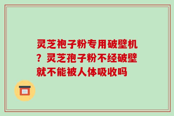 灵芝袍子粉专用破壁机？灵芝孢子粉不经破壁就不能被人体吸收吗