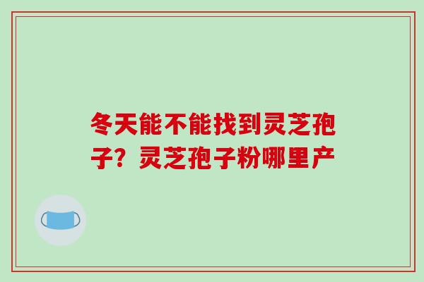 冬天能不能找到灵芝孢子?灵芝孢子粉哪里产 冬天能不能找到灵芝孢子?灵芝孢子粉哪里产