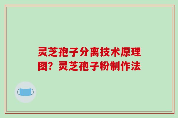 灵芝孢子分离技术原理图?灵芝孢子粉制作法 灵芝孢子分离技术原理图?灵芝孢子粉制作法