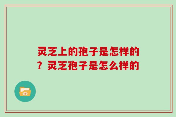 灵芝上的孢子是怎样的？灵芝孢子是怎么样的
