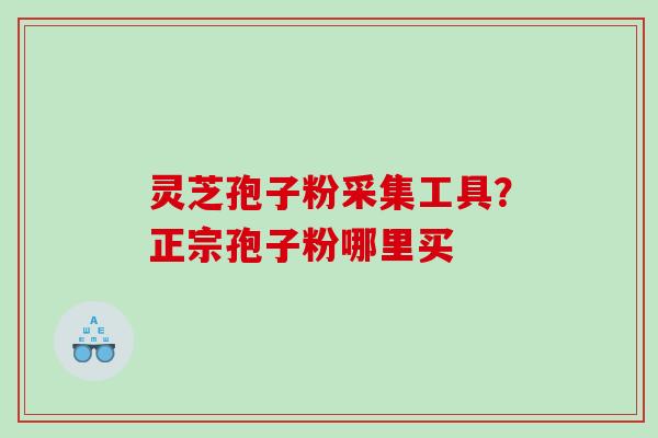 灵芝孢子粉采集工具?正宗孢子粉哪里买 灵芝孢子粉采集工具?正宗孢子粉哪里买