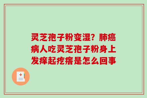 灵芝孢子粉变湿？人吃灵芝孢子粉身上发痒起疙瘩是怎么回事