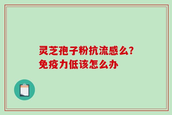 灵芝孢子粉抗么?免疫力低该怎么办 灵芝孢子粉抗么?免疫力低该怎么办