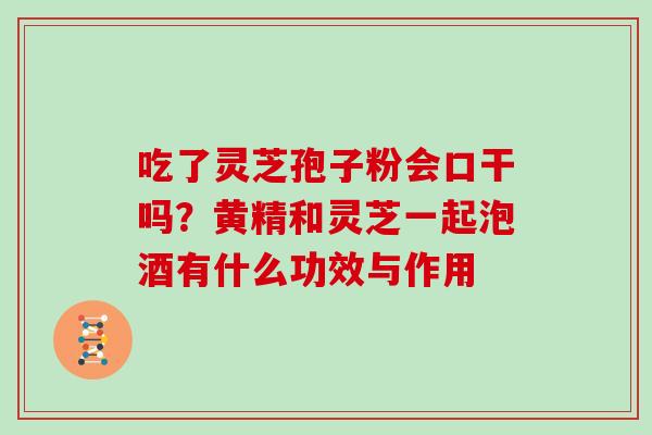 吃了灵芝孢子粉会口干吗？黄精和灵芝一起泡酒有什么功效与作用