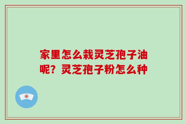 家里怎么栽灵芝孢子油呢？灵芝孢子粉怎么种