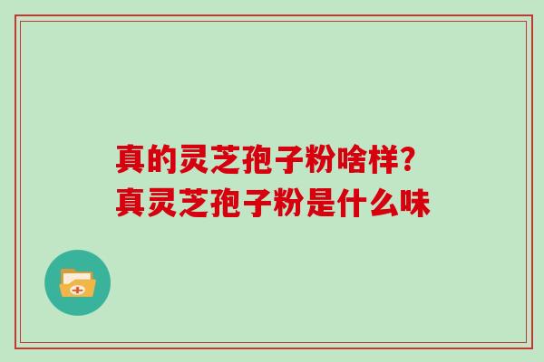 真的灵芝孢子粉啥样？真灵芝孢子粉是什么味
