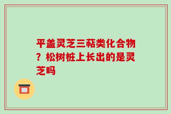 平盖灵芝三萜类化合物?松树桩上长出的是灵芝吗 平盖灵芝三萜类化合物?松树桩上长出的是灵芝吗