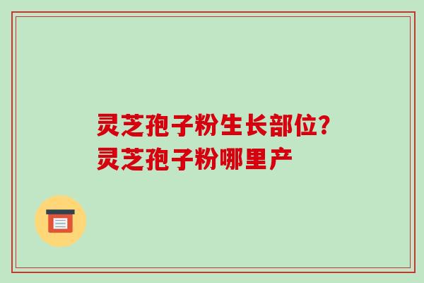 灵芝孢子粉生长部位?灵芝孢子粉哪里产 灵芝孢子粉生长部位?灵芝孢子粉哪里产