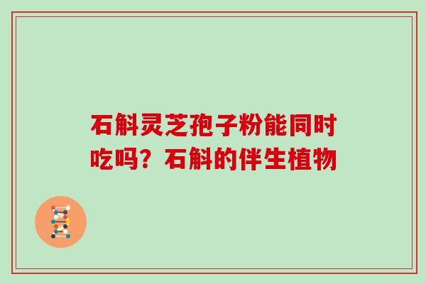 石斛灵芝孢子粉能同时吃吗？石斛的伴生植物