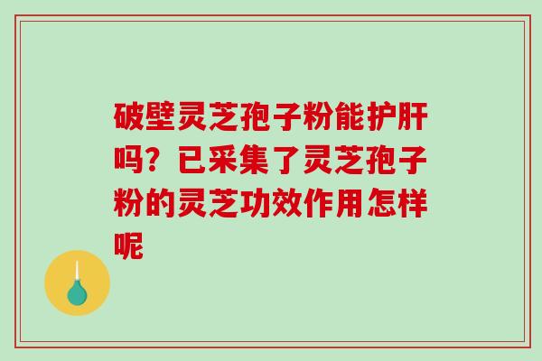 破壁灵芝孢子粉能吗？已采集了灵芝孢子粉的灵芝功效作用怎样呢