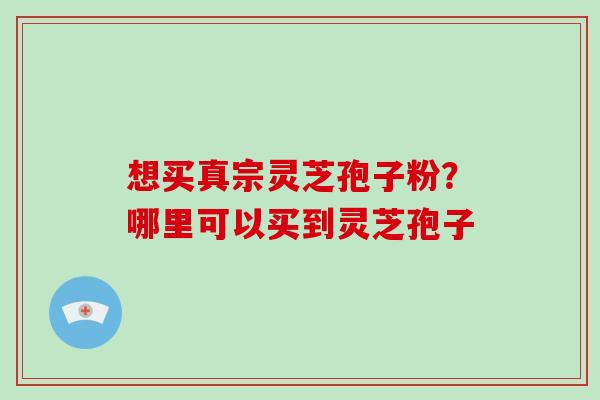 想买真宗灵芝孢子粉？哪里可以买到灵芝孢子
