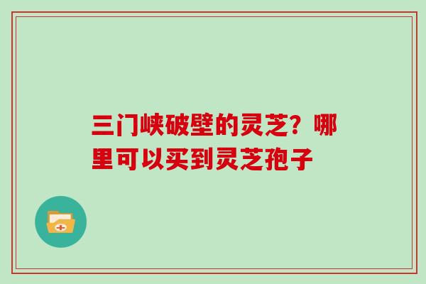 三门峡破壁的灵芝?哪里可以买到灵芝孢子 三门峡破壁的灵芝?哪里可以买到灵芝孢子