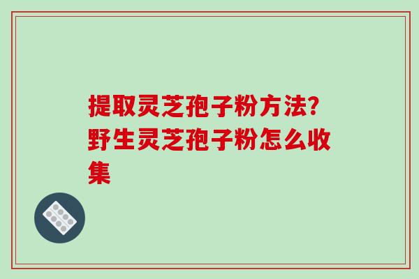 提取灵芝孢子粉方法?野生灵芝孢子粉怎么收集 提取灵芝孢子粉方法?野生灵芝孢子粉怎么收集