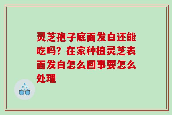 灵芝孢子底面发白还能吃吗？在家种植灵芝表面发白怎么回事要怎么处理
