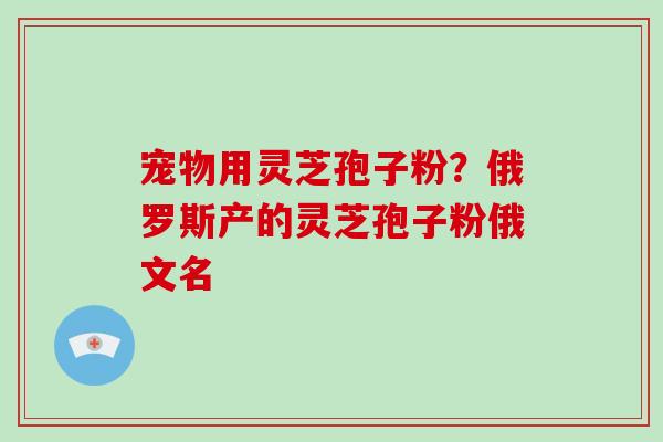 宠物用灵芝孢子粉?俄罗斯产的灵芝孢子粉俄文名 宠物用灵芝孢子粉?俄罗斯产的灵芝孢子粉俄文名