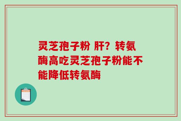 灵芝孢子粉 ?转氨酶高吃灵芝孢子粉能不能降低转氨酶 灵芝孢子粉 ?转氨酶高吃灵芝孢子粉能不能降低转氨酶