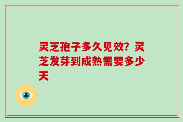 灵芝孢子多久见效？灵芝发芽到成熟需要多少天