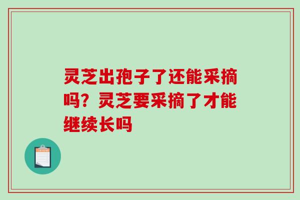 灵芝出孢子了还能采摘吗？灵芝要采摘了才能继续长吗