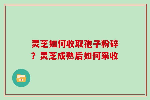 灵芝如何收取孢子粉碎?灵芝成熟后如何采收 灵芝如何收取孢子粉碎?灵芝成熟后如何采收