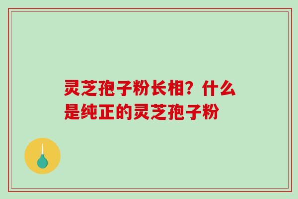 灵芝孢子粉长相?什么是纯正的灵芝孢子粉 灵芝孢子粉长相?什么是纯正的灵芝孢子粉