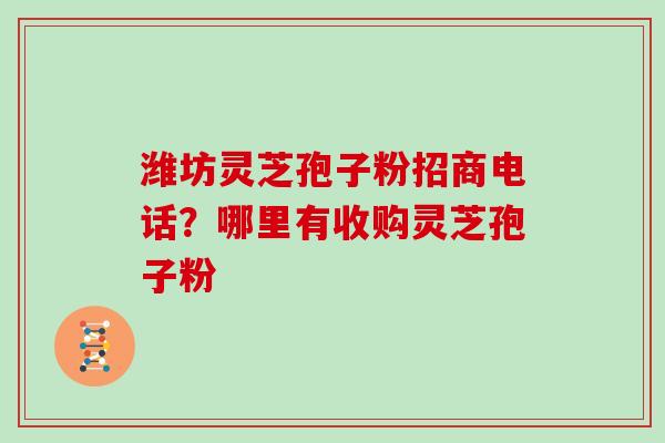 潍坊灵芝孢子粉招商电话？哪里有收购灵芝孢子粉