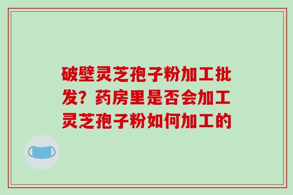 破壁灵芝孢子粉加工批发?药房里是否会加工灵芝孢子粉如何加工的 破壁灵芝孢子粉加工批发?药房里是否会加工灵芝孢子粉如何加工的