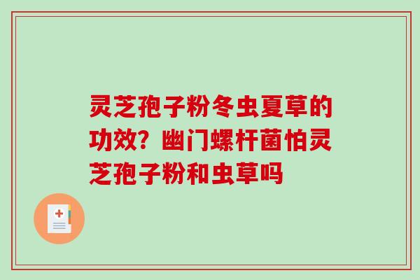 灵芝孢子粉冬虫夏草的功效?幽门螺杆菌怕灵芝孢子粉和虫草吗 灵芝孢子粉冬虫夏草的功效?幽门螺杆菌怕灵芝孢子粉和虫草吗
