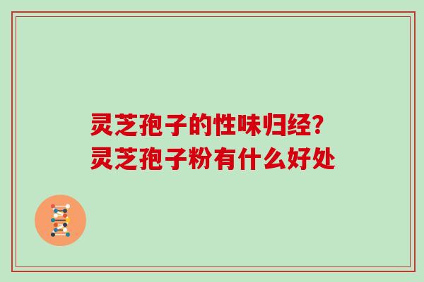 灵芝孢子的性味归经？灵芝孢子粉有什么好处