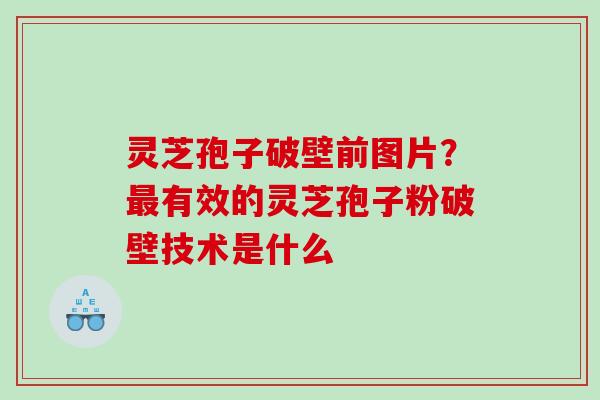 灵芝孢子破壁前图片？有效的灵芝孢子粉破壁技术是什么