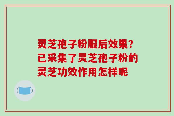 灵芝孢子粉服后效果?已采集了灵芝孢子粉的灵芝功效作用怎样呢 灵芝孢子粉服后效果?已采集了灵芝孢子粉的灵芝功效作用怎样呢