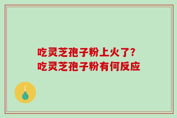 吃灵芝孢子粉上火了？吃灵芝孢子粉有何反应