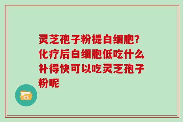 灵芝孢子粉提?后低吃什么补得快可以吃灵芝孢子粉呢 灵芝孢子粉提?后低吃什么补得快可以吃灵芝孢子粉呢