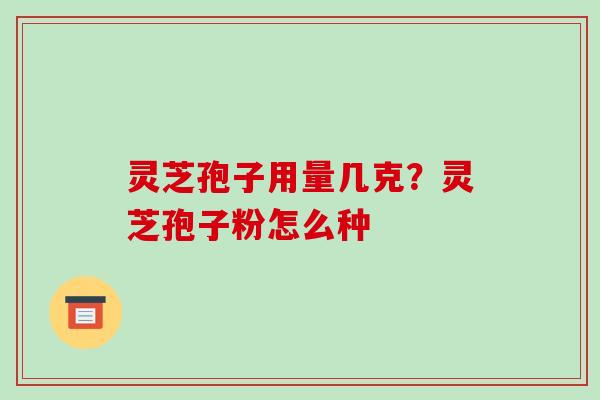 灵芝孢子用量几克？灵芝孢子粉怎么种