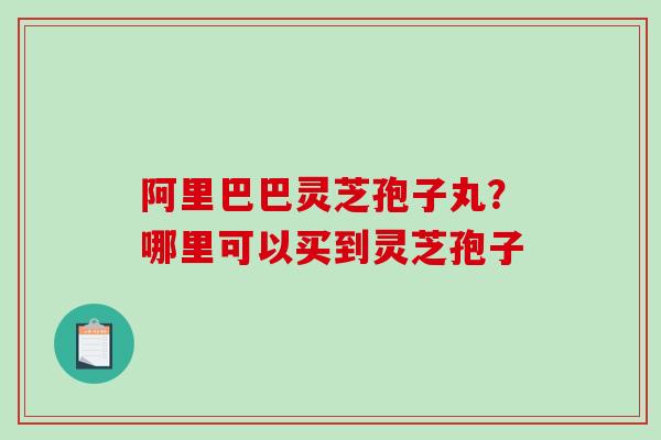 阿里巴巴灵芝孢子丸？哪里可以买到灵芝孢子