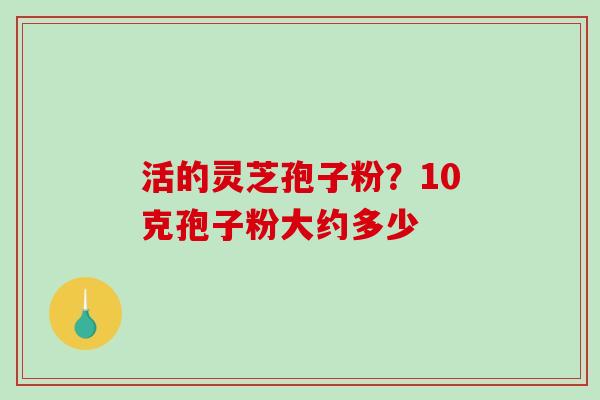 活的灵芝孢子粉？10克孢子粉大约多少
