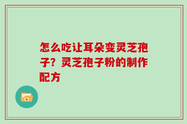 怎么吃让耳朵变灵芝孢子？灵芝孢子粉的制作配方