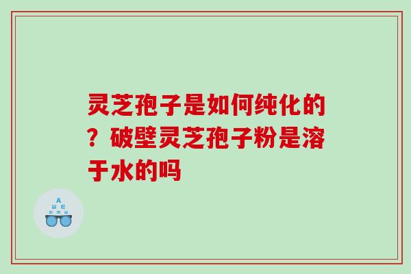 灵芝孢子是如何纯化的?破壁灵芝孢子粉是溶于水的吗 灵芝孢子是如何纯化的?破壁灵芝孢子粉是溶于水的吗