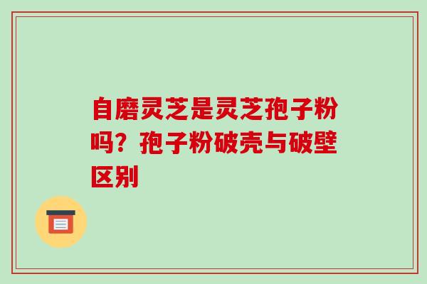 自磨灵芝是灵芝孢子粉吗?孢子粉破壳与破壁区别 自磨灵芝是灵芝孢子粉吗?孢子粉破壳与破壁区别