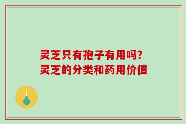 灵芝只有孢子有用吗？灵芝的分类和药用价值
