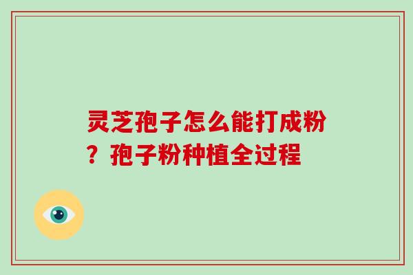 灵芝孢子怎么能打成粉？孢子粉种植全过程