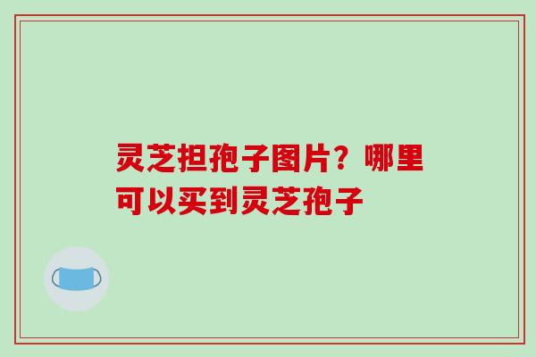灵芝担孢子图片？哪里可以买到灵芝孢子